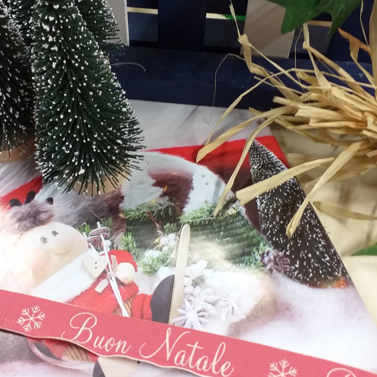 Cannella anice spezie decorazioni natalizie bomboniere biedermeier –  hobbyshopbomboniere