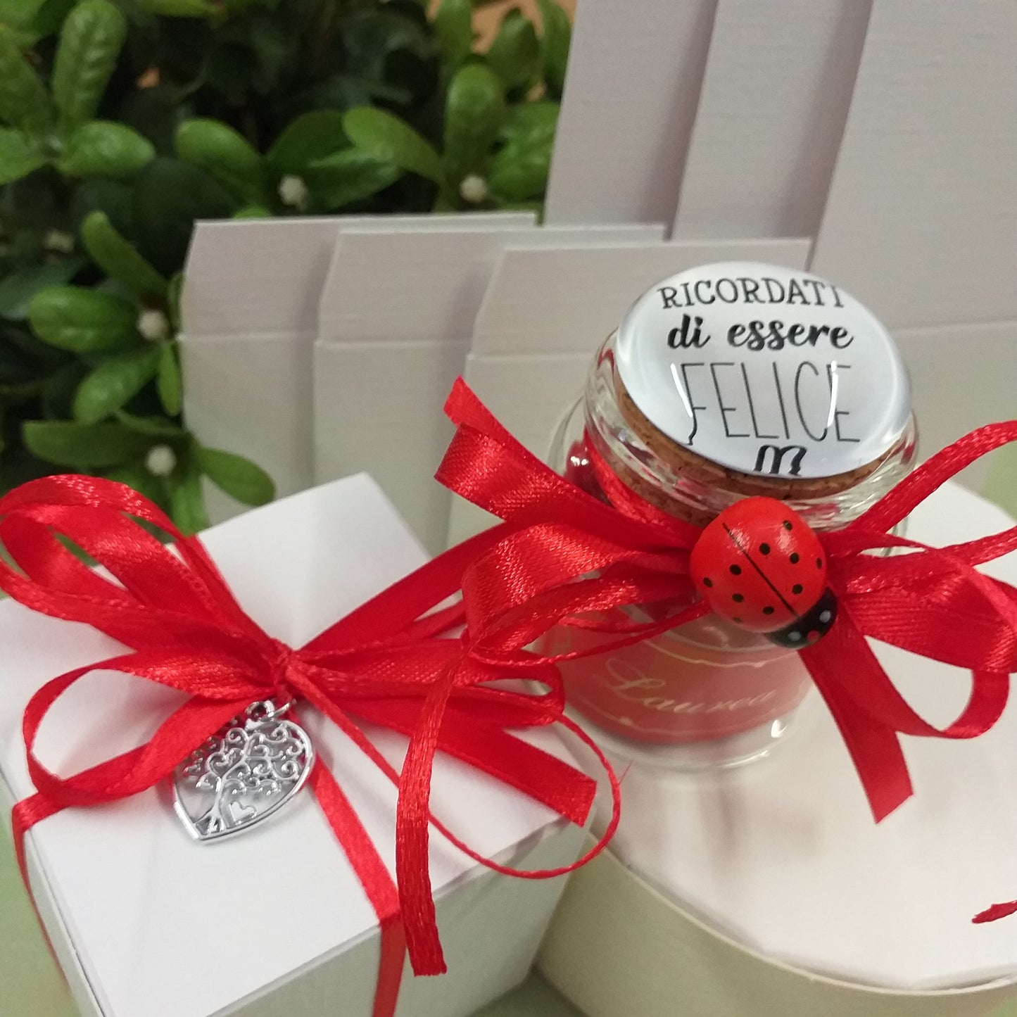 packaging scatolina ciondolo albero vita barattolo laurea bomboniera portaconfetti italiani confezionato 5 confetti nastrino applicazione coccinella portafortuna bigliettino personalizzato su vasetto vetro sughero ceramica
