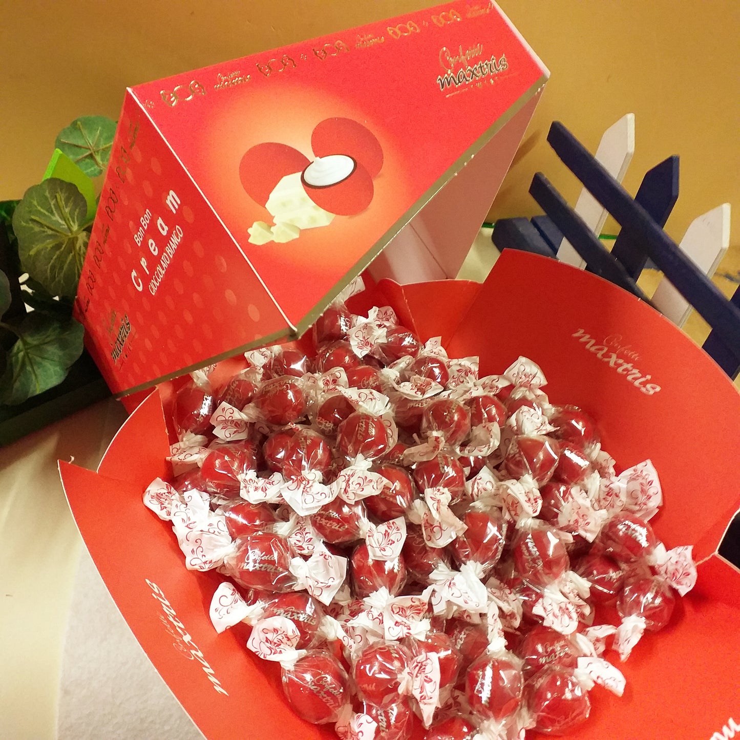 vassoio cadeaux confezione regalo laurea Maxtris Italian confetti twist Bon Bon cream cioccolato bianco ricoperto da cioccolato al latte confettato zucchero incartati singolarmente doppio fiocco come cioccolatini