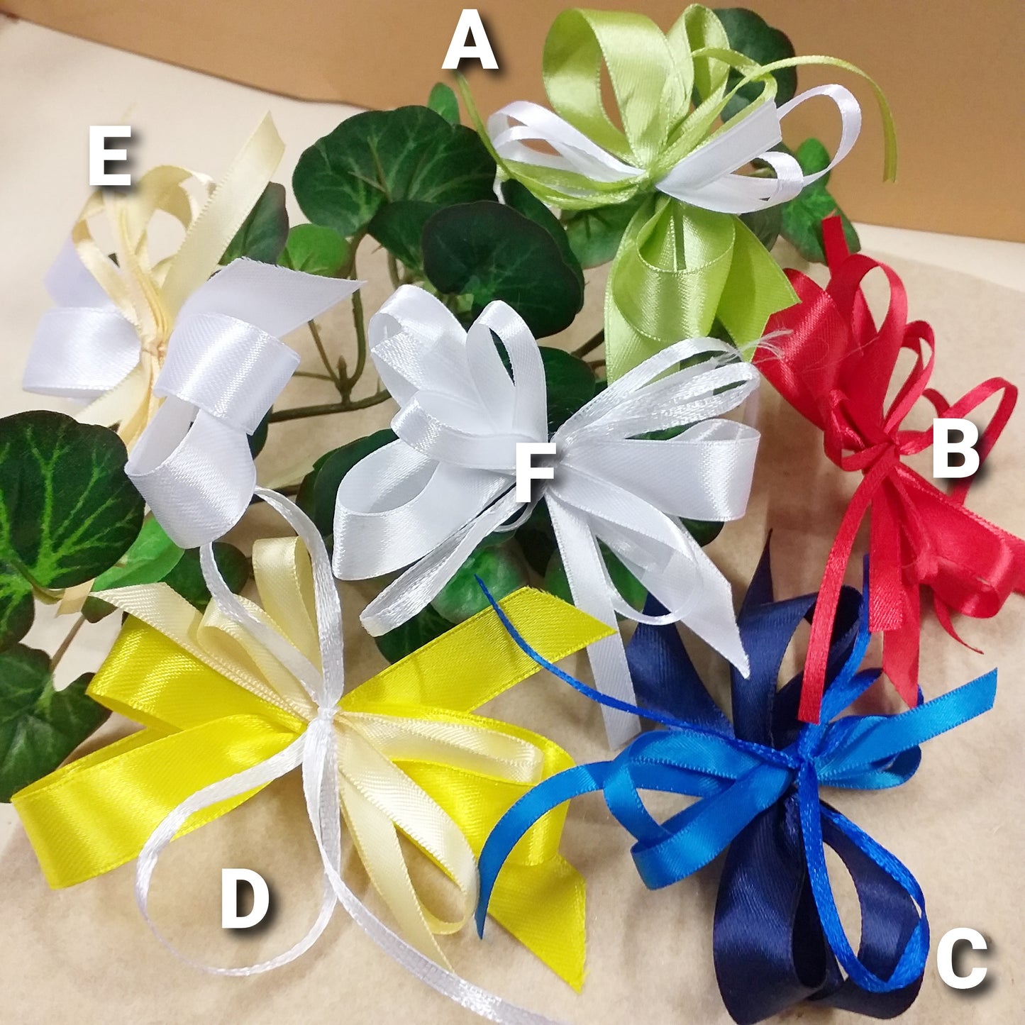 vetrina colori vivaci per coccarde fiocchi pronti fai da te bomboniere confezionare scatole packaging confezioni pacchi regalo