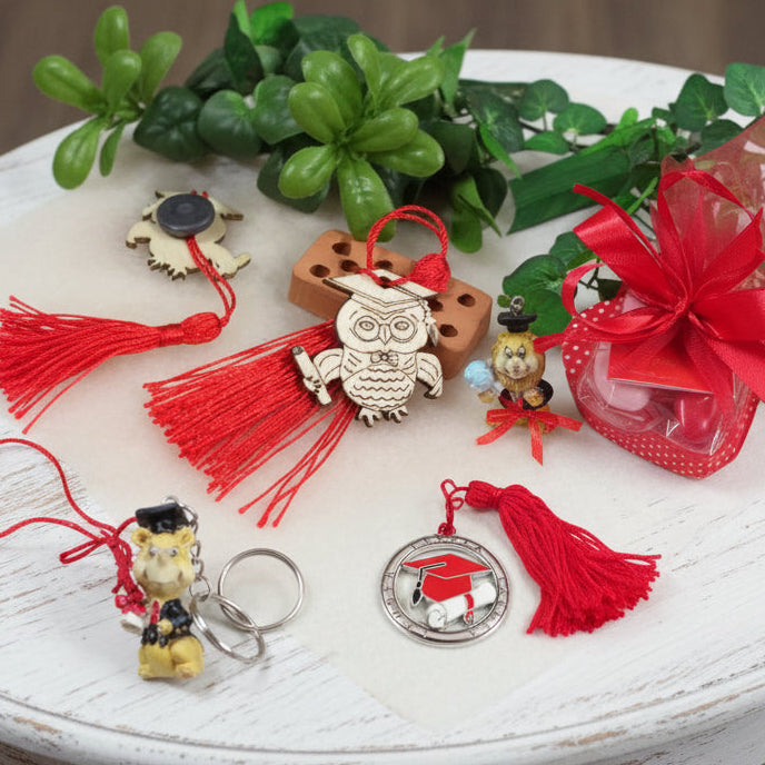 gufo laurea bomboniera legno eco green magnete calamita confezione confetti portachiavi leoncino dotto laureato ciondolo simboli tocco pergamena scritta