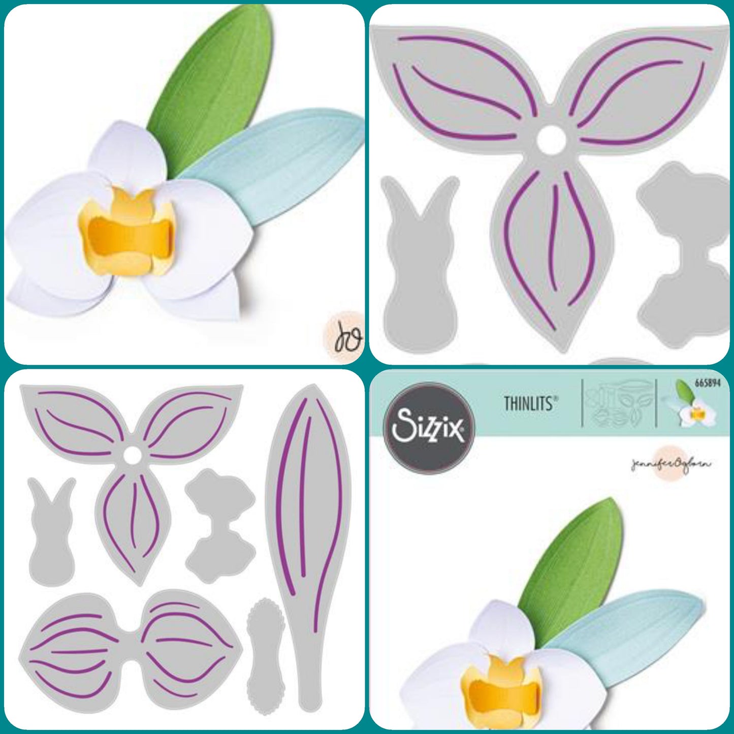 thinlits 665894 fustella Sizzix-Stafil metallica per Big Shot macchina fustellatrice manuale fiori di orchidea uso fommy carta cartoncino gomma crepla