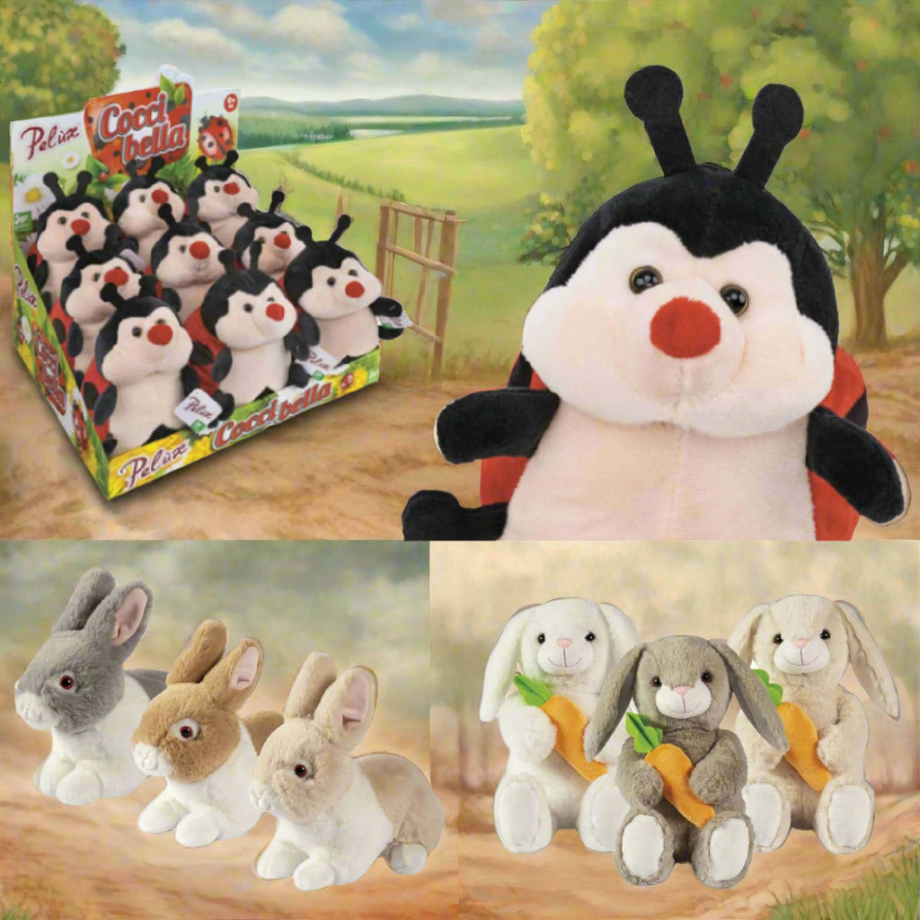 shop vetrina confezione regalo San Valentino 14 febbraio festa degli innamorati pupazzo bambola coccinella leprotti conigli peluche