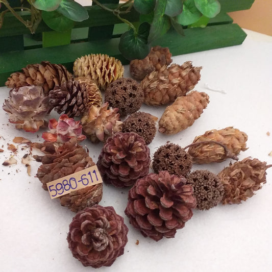 pigne naturali decorazioni fai da te natalizie misto bacche eucalipto ontano salignum pino abete chiare scure grandi piccole uso addobbi albero natale centrotavola fuoriporta ghirlanda