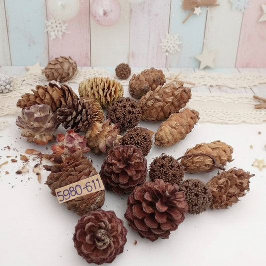 pigne naturali decorazioni fai da te natalizie misto bacche eucalipto ontano salignum pino abete chiare scure grandi piccole uso addobbi albero natale centrotavola fuoriporta ghirlanda