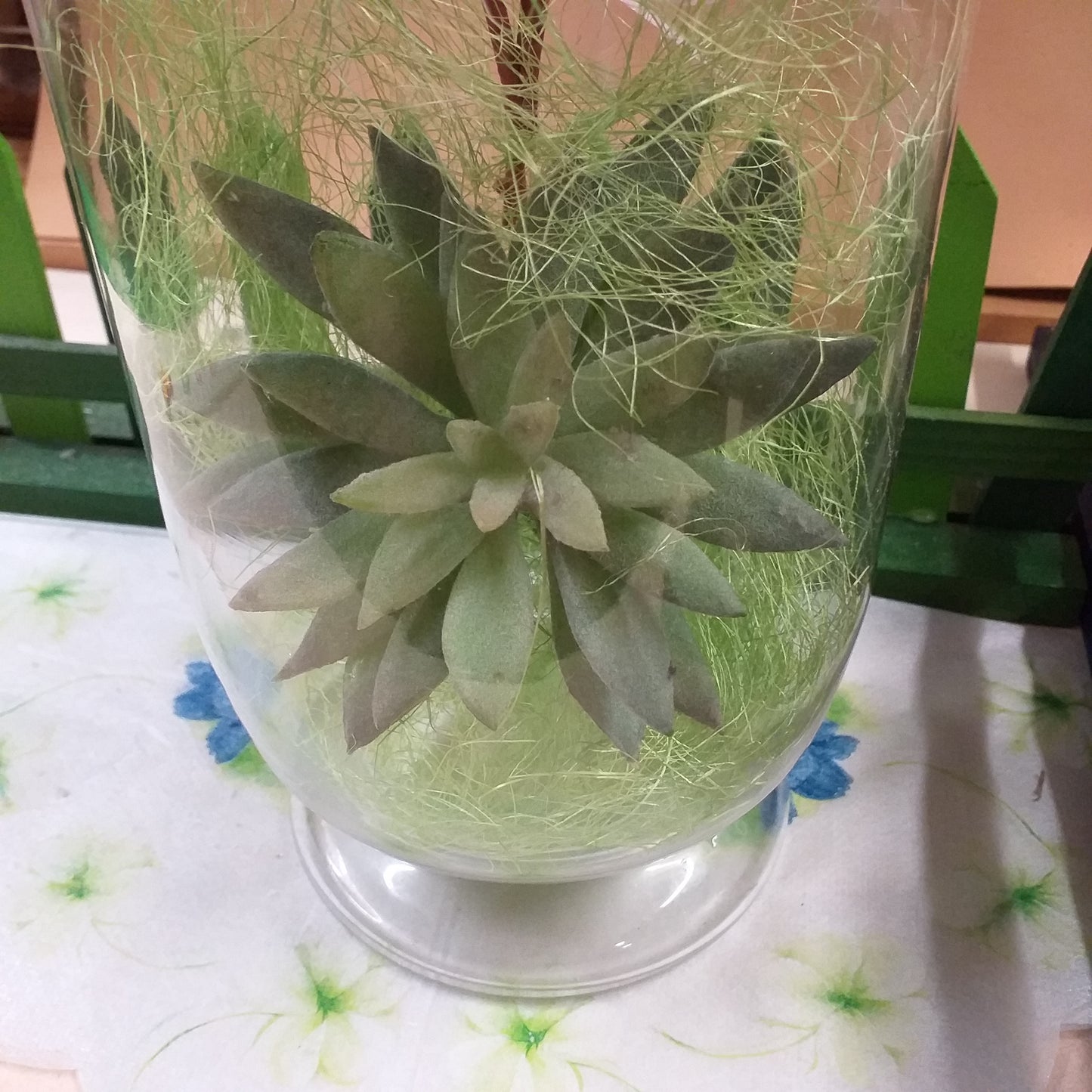 primo piano piantina grassa artificiale in composizione vaso vetro centrotavola idea regalo pasquale