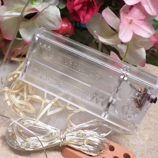 scatolino trasparente mini luci led natalizie batteria per Presepe Natale albero ghirlanda luminosa fili 20 luminarie Stafil lichterkette uso centrotavola floreali ghirlande natalizie decorazioni vetrinistica ambienti interni