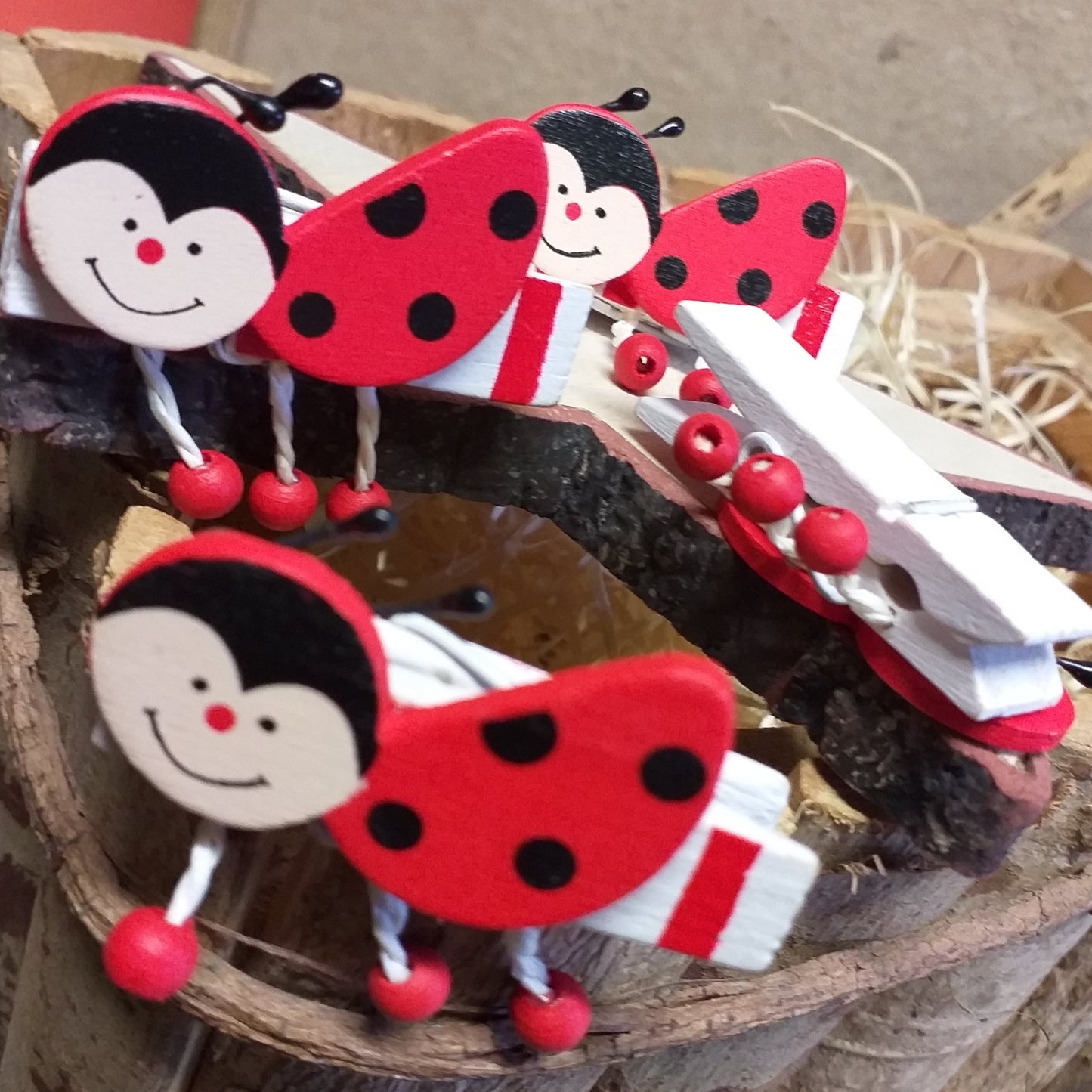 clip legno bianche coccinelle rosse pinzette portabigliettini chiudipacco mollette segnaposto bomboniere fai da te decorative pinze legno uso packaging confezionamento hobbistica