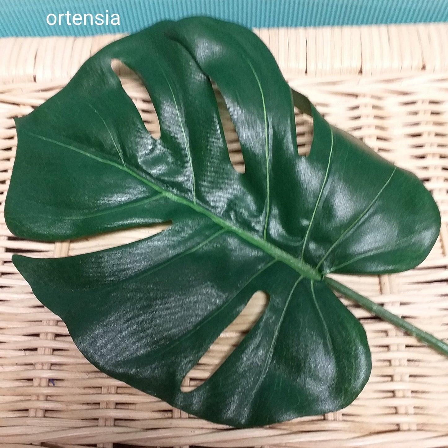 foglie ortensia grandi per fiori decorazioni piante artificiali Natale bomboniere nozze d'oro centrotavola composizioni fioristi e fiorai