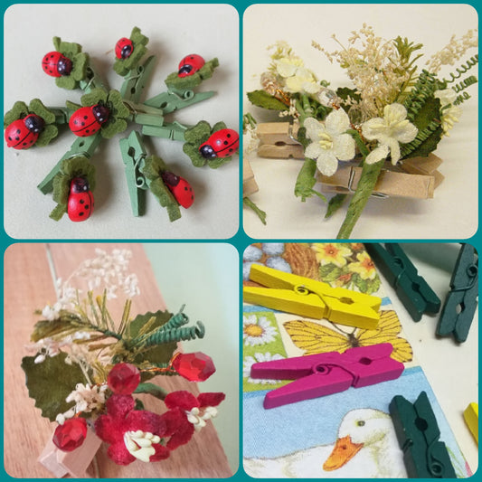 clip legno pinzette portabigliettini chiudipacco mollette bomboniere fai da te decorative pinze legno fiori coccinelle quadrifoglio colorate uso packaging confezionamento hobbistica