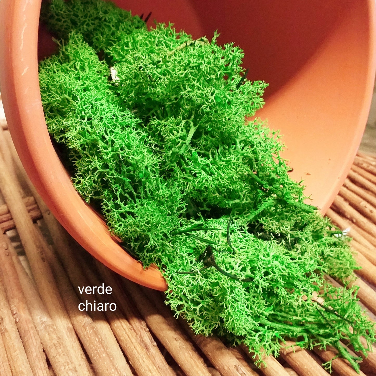 colore verde chiaro muschio stabilizzato nordico decorativo uso per composizioni floreali fiori perline decorazioni Natale presepe piante fiori artificiali