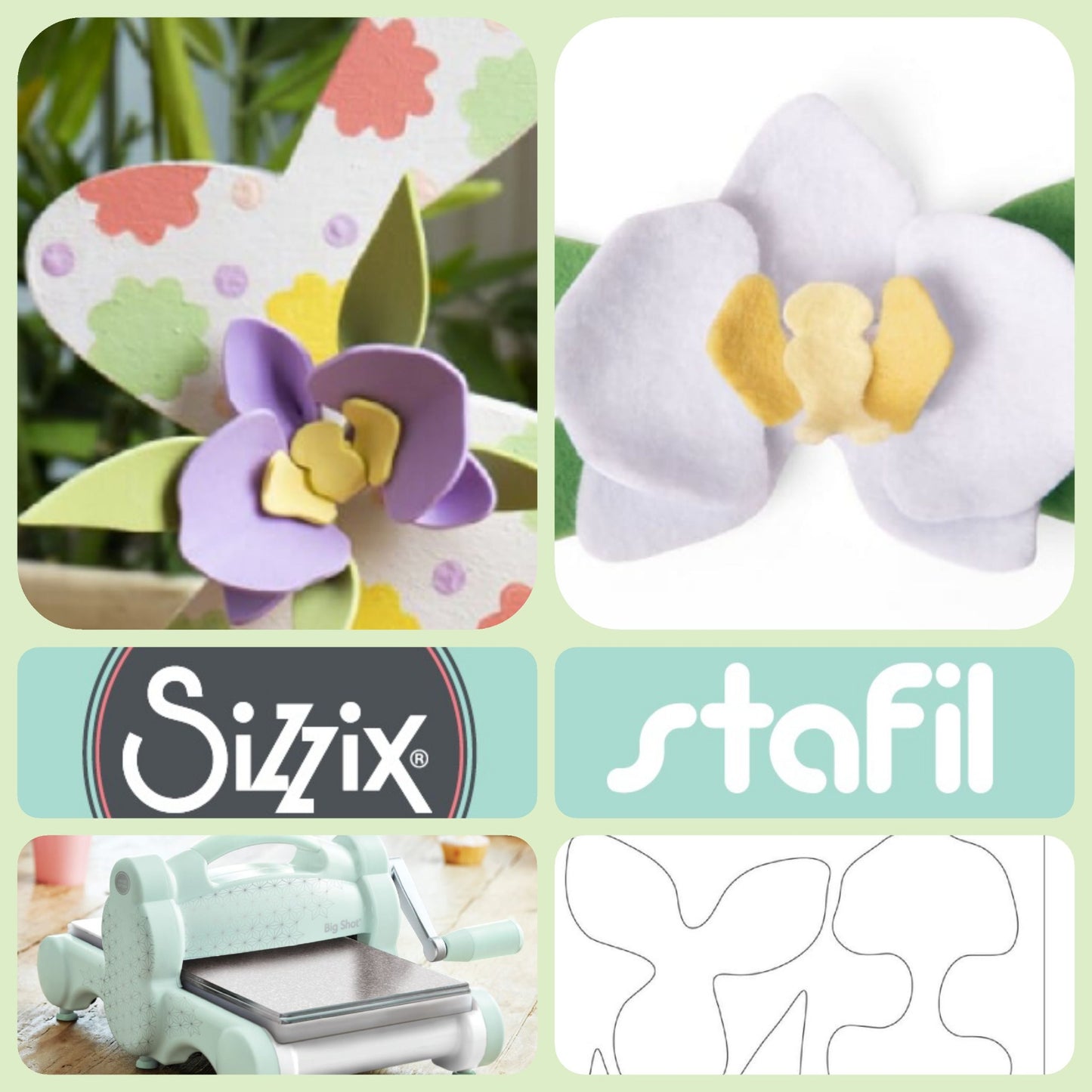 vetrina Dove comprare fustelle Orchidea fiori sizzix Big Shot per Fommy gomma crepla Pannolenci Pasqua coniglio