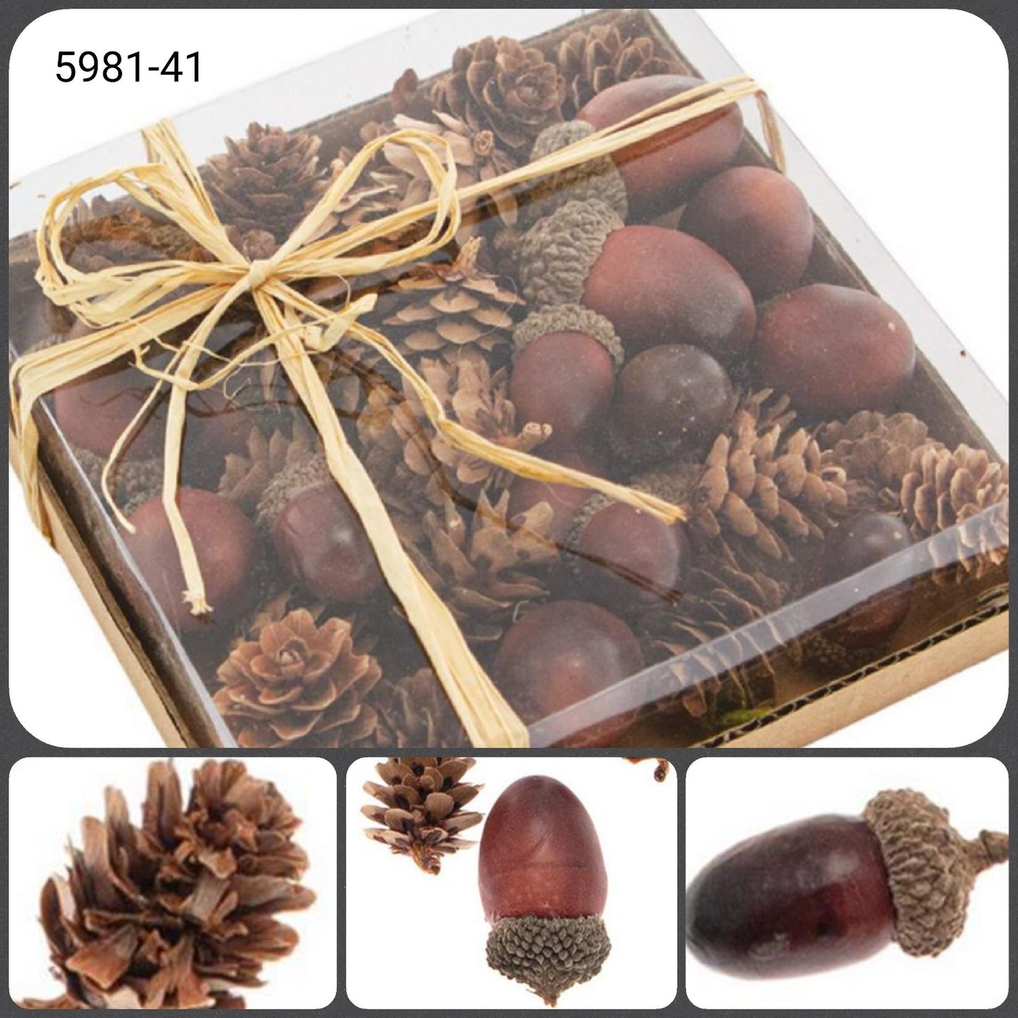 5981-41 Stafil cofanetto regalo con rafia pigne larice ghiande decorative spezie biedermeier per decorazioni natalizie ghirlande alberi bomboniere juta segnaposto Natale rustico chiudipacco shabby chic packaging vetrinistica