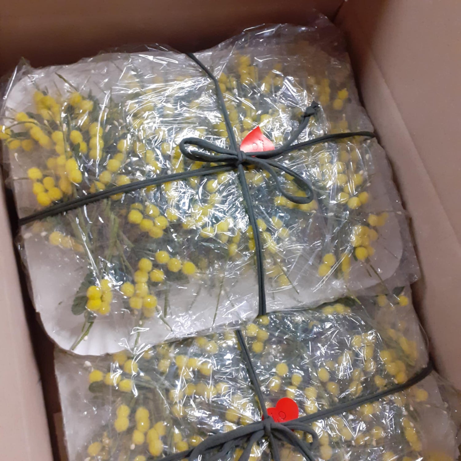 2025 8 marzo festa della donna shop online vendita mazzolini mazzetti bouquet mimosa finta artificiale palline gialle su stelo 