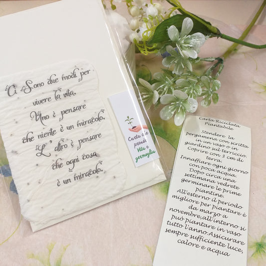 carta riciclata piantabile di semi pergamena ci sono 2 modi per vivere la vita frase bella etichetta prende vita e germoglia confezionata bustina bomboniere segnaposto istruzioni per la semina delle piantine