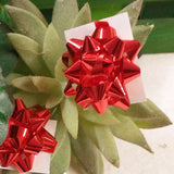 forma stella carta metallizzata rossa coccardine fiocco chiudipacco per confezione regalo Natale segnaposto capodanno packaging San Valentino vetrinistica