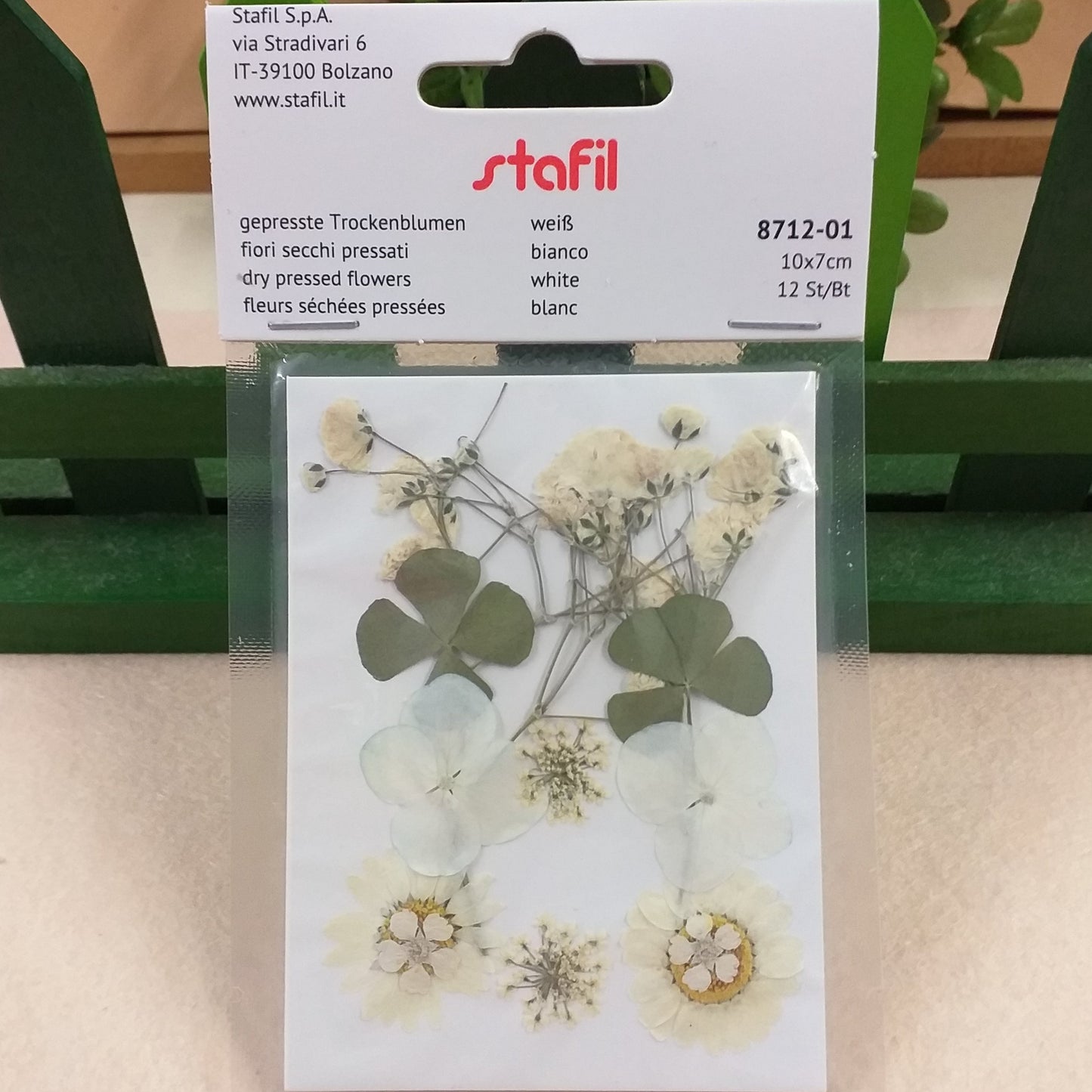 gepresste trockenblumen dry pressed flowers bianco negozio online vendita fiori pressati secchi essiccati uso per idee creative decorative decoupage pittorico decorazioni pasquali packaging vetrinistica su carta a mano quadri fioristi confezionamento resina trasparente