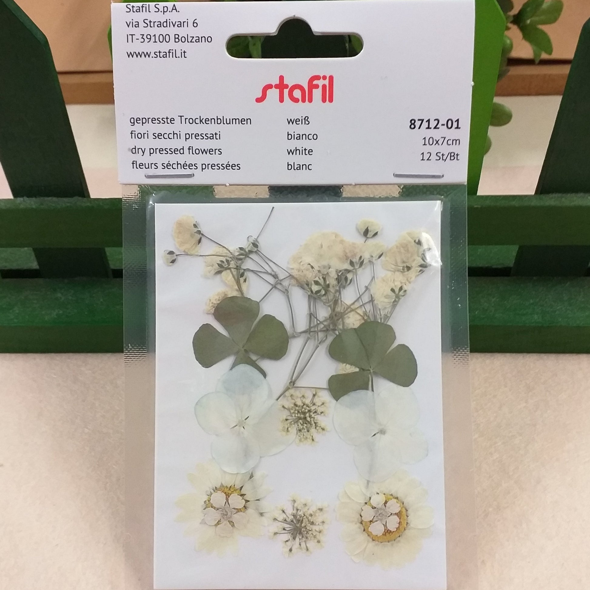 gepresste trockenblumen dry pressed flowers bianco negozio online vendita fiori pressati secchi essiccati uso per idee creative decorative decoupage pittorico decorazioni pasquali packaging vetrinistica su carta a mano quadri fioristi confezionamento resina trasparente