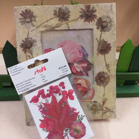idea fai da te artigianato crafts fiori secchi rossi essiccati pressati per quadri portafoto da appendere composizioni floreali carta di riso