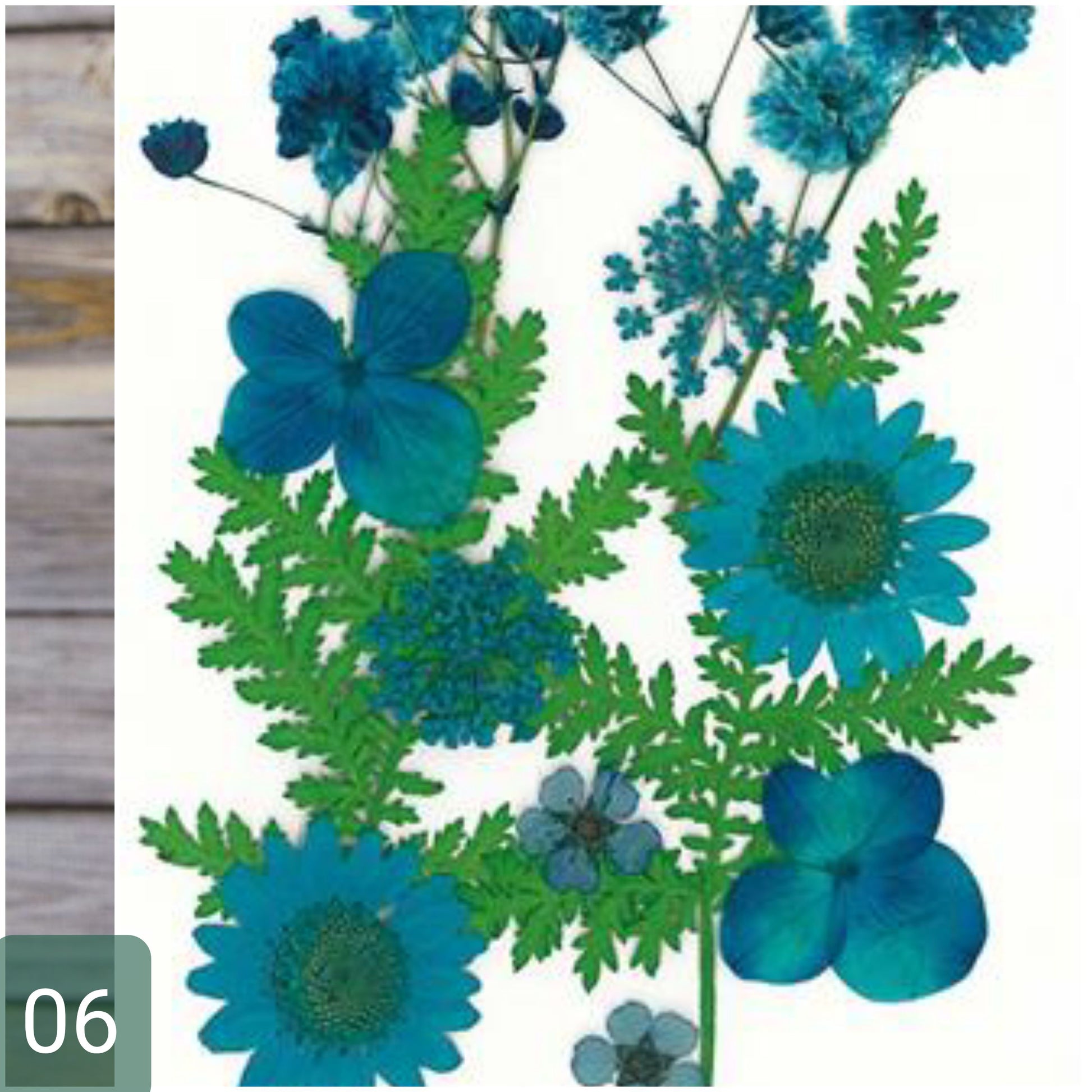 blu fiordaliso negozio online vendita fiori pressati secchi essiccati uso per idee creative decorative decoupage pittorico decorazioni pasquali packaging vetrinistica su carta a mano quadri fioristi confezionamento con resina trasparente
