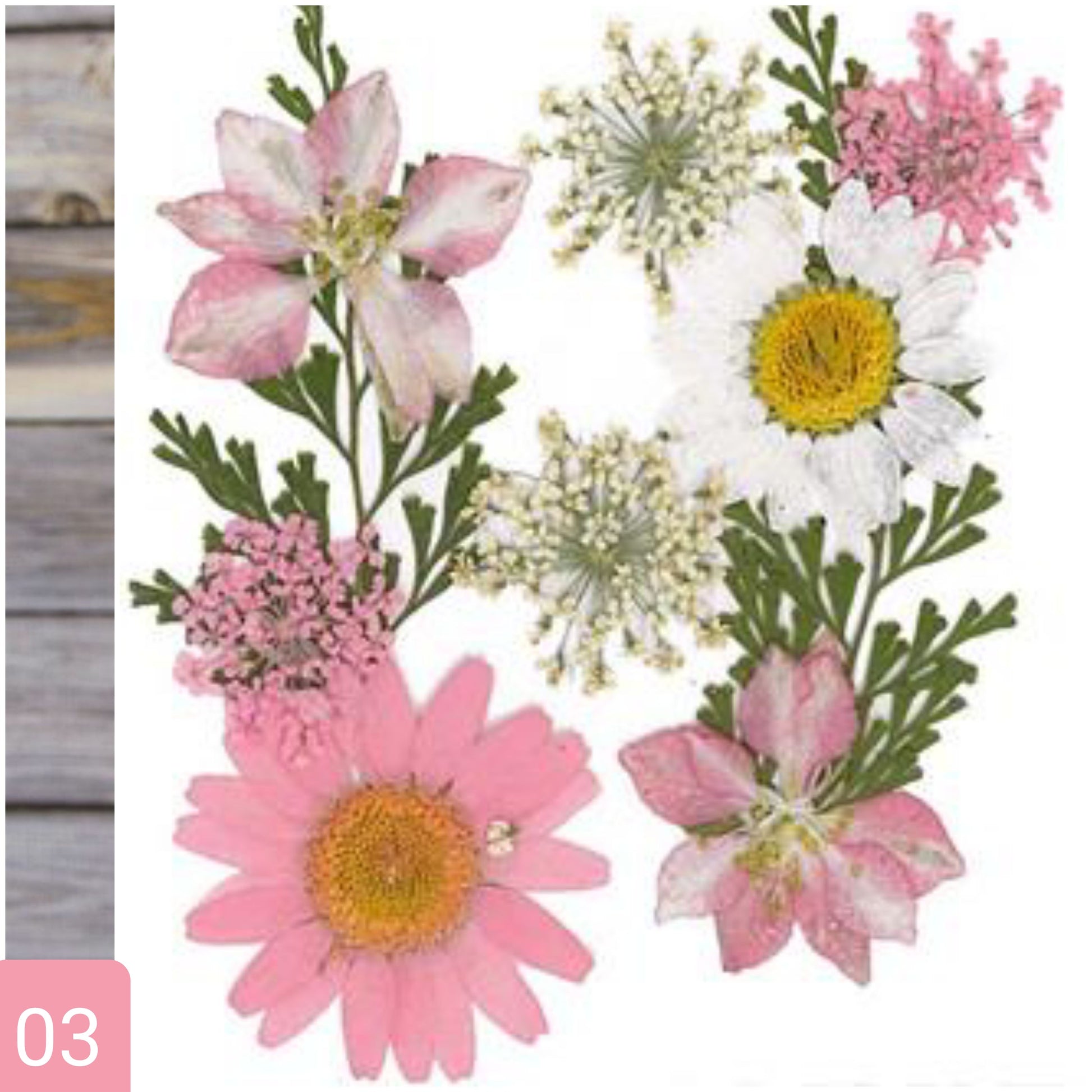 rosa chiaro bianco foglie negozio online vendita fiori pressati secchi essiccati uso per idee creative decorative decoupage pittorico decorazioni pasquali packaging vetrinistica su carta a mano quadri fioristi confezionamento con resina trasparente