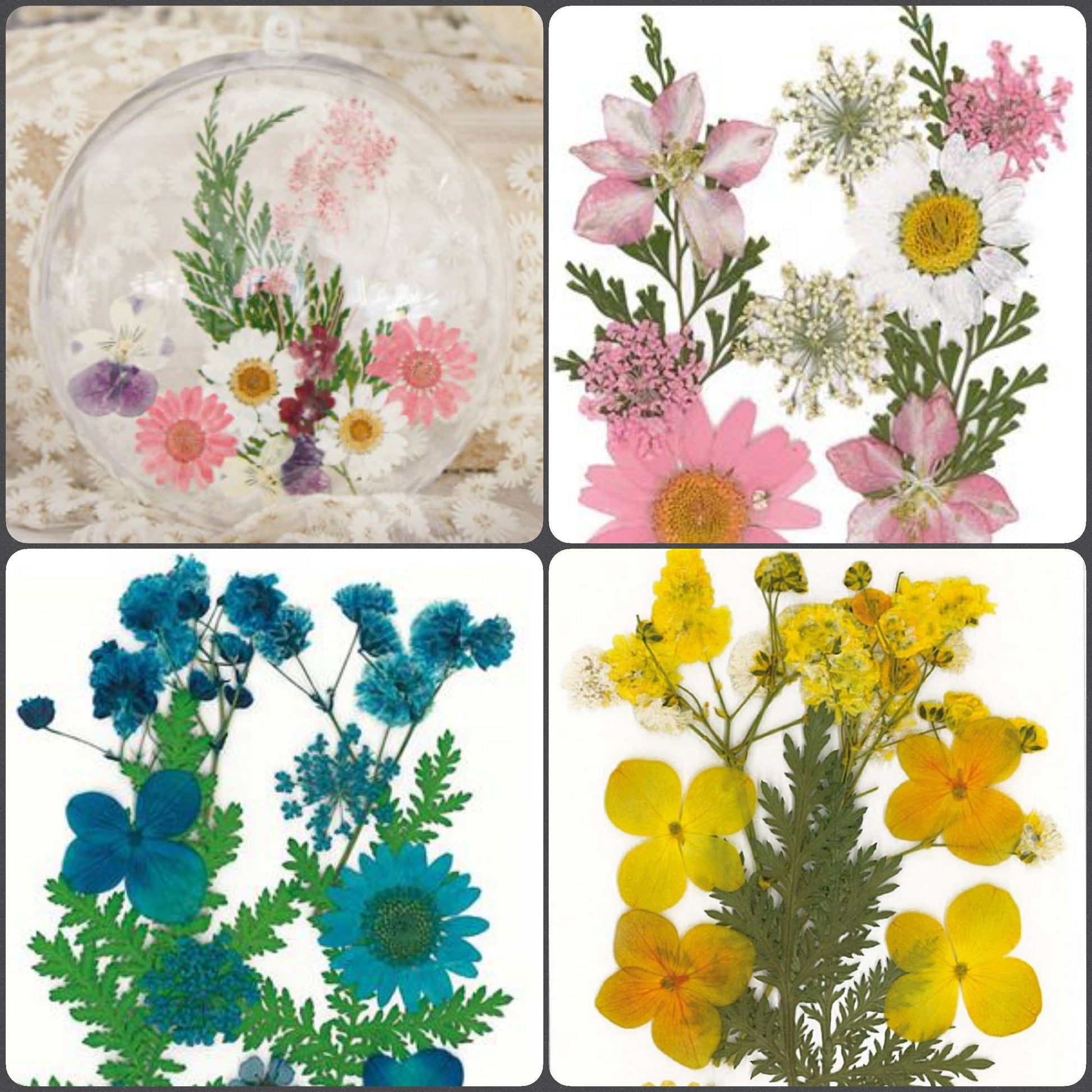 idea boulle sfera pallina composizione floreale  negozio online vendita fiori pressati secchi essiccati uso esempi creativi decorativi decoupage pittorico decorazioni pasquali packaging vetrinistica su carta a mano quadri fioristi confezionamento con resina trasparente