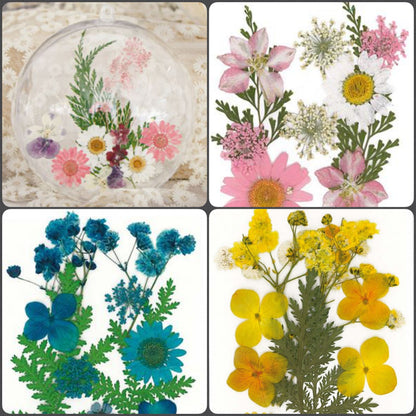 idea boulle sfera pallina composizione floreale  negozio online vendita fiori pressati secchi essiccati uso esempi creativi decorativi decoupage pittorico decorazioni pasquali packaging vetrinistica su carta a mano quadri fioristi confezionamento con resina trasparente