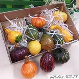 gift box fioristi zucche gialle verdi arancioni ornamentali finte artificiali decorative uso creare decorazioni halloween vetrine autunnali composizioni fiori e verdura