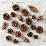 24 Pigne Naturali Con Cordino Dorato Per Decorazioni Natalizie E Autunnali – Rustiche E Innevate, Lunghezza 5 Cm