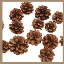 Sqxaldm Decorazioni Bacche Aghi di Pino Pigne di Bacche Decorazioni per Feste Mini Decorazioni