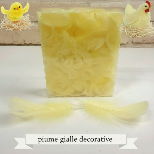 scatolina 5 g box trasparente piume decorative pasquali gialle per addobbi decorazioni su vasi centrotavola fuoriporta ghirlande