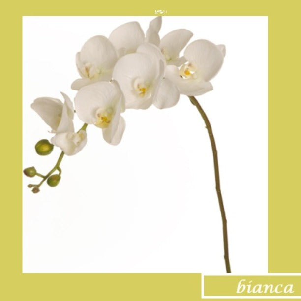 ramo finto artificiale orchidea bianca per fai da te composizioni floreali fioristi piantina da arredamento casa ufficio negozio vetrina