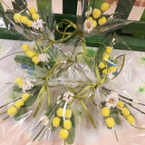 segnaposto mazzetto mazzolino pick piccolo mimosa finta artificiale confezione regalo foglie boccioli pistilli margherite bouquet cellophane trasparente festa della donna 8 marzo idea chiudipacco