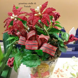 piantina stelle di Natale rosse decorazioni addobbi fai da te creativo idee regalo perline shop online bonsai piante perle veneziane miniatura