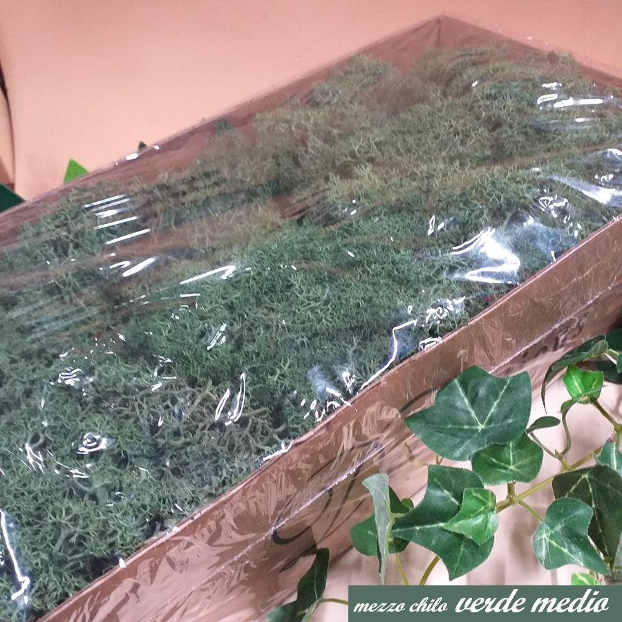 mezzo chilo verde medio lichene muschio stabilizzato nordico uso addobbi bonsai piante perline alberi fiori artificiali composizioni decorazioni floreali natalizie Presepe centrotavola Natale