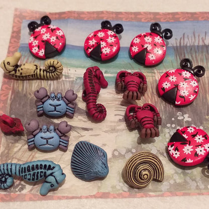 shop creatività merceria hobby cucito creativo bottoni particolari colorati decorativi tema animali del mare coccinelle uso hobbistica confezionamento packaging regalo bomboniere