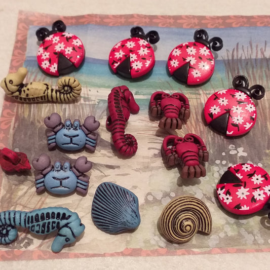 shop creatività merceria hobby cucito creativo bottoni particolari colorati decorativi tema animali del mare coccinelle uso hobbistica confezionamento packaging regalo bomboniere