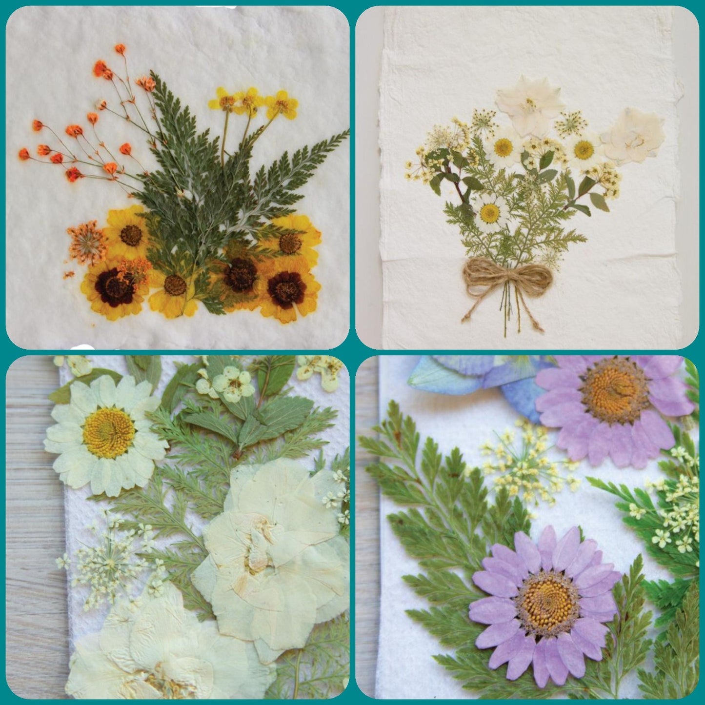 vetrina negozio online vendita fiori pressati secchi essiccati idee creative decorative quadri fioristi decoupage pittorico decorazioni pasquali packaging vetrinistica su carta a mano o di riso