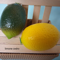 limone cedro plastica frutta finta artificiale decorativa per centrotavola composizioni pasqua addobbi natale