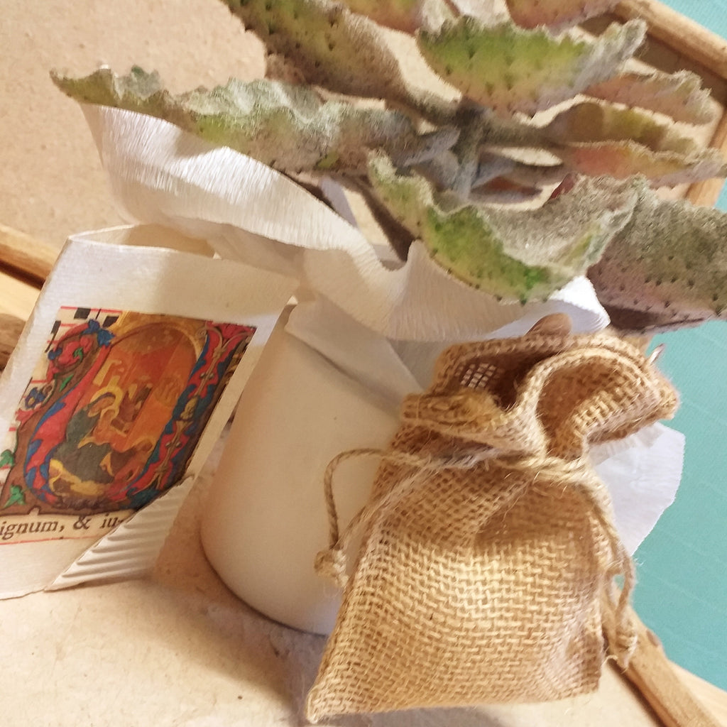 CleverDelights 50 Sacchetti Di Iuta Con Coulisse – 20,3x30,5 Cm, Naturali, Ecologici Per Regali E Bomboniere
