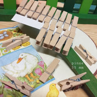 pinze legno naturale oggetti mollette clips 35 mm da colorare decorare uso per lavoretti creativi decorazioni attività di bambini chiudipacco packaging regali natalizi pasquali