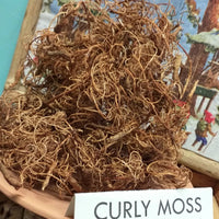 curly Moss Marrone muschio secco decorativo lichene presepe composizioni floreali decorazioni Natale centrotavola con piante e fiori vetrinistica ambientazione Natalizia