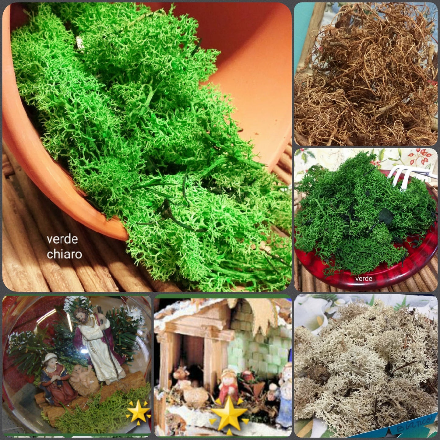 Negozio vendita on-line vetrina muschio nordico lichene curly idee Natale presepe composizioni floreali decorazione piante fiori artificiali packaging vetrinistica allestimento