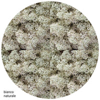 bianco naturale lichene muschio stabilizzato nordico per Bonsai Piante Fiori artificiali composizioni decorazioni floreali natalizie Presepe