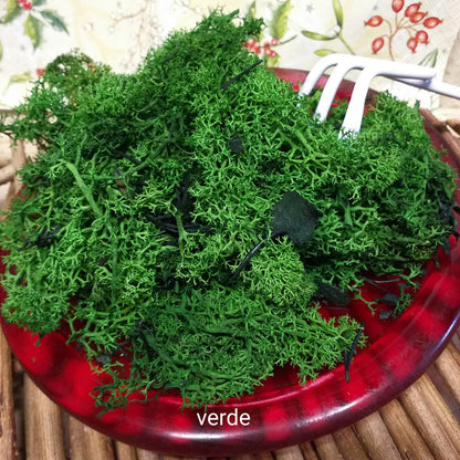 verde stabilizzato muschio nordico uso fioristi per bonsai piante fiori artificiali composizioni decorazioni floreali albero Natale biedermeier Presepe