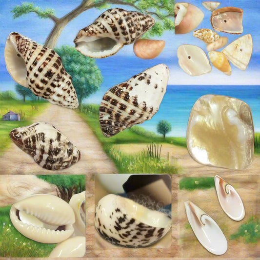 Negozio perle forate di conchiglia kit fai da te collane componenti effetto madreperla perline per gioielli bijoux bigiotteria bomboniere tema mare forme assortimento