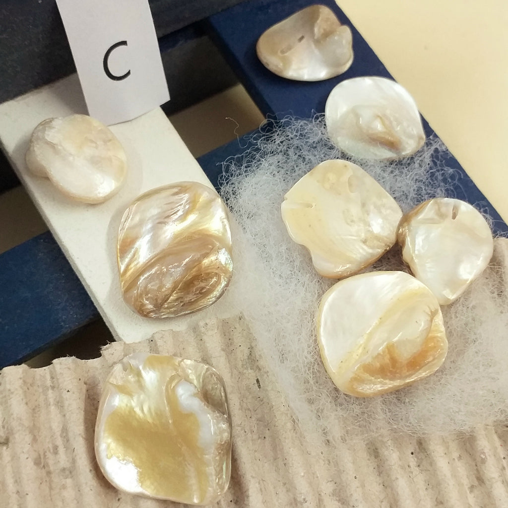 Conchiglia di capesante con perle conchiglie aperte con preziosa