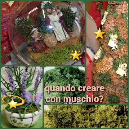Quando creare con muschio nordico artificiale composizioni floreali perline decorazioni Natale albero biedermeier presepe sfera pallina