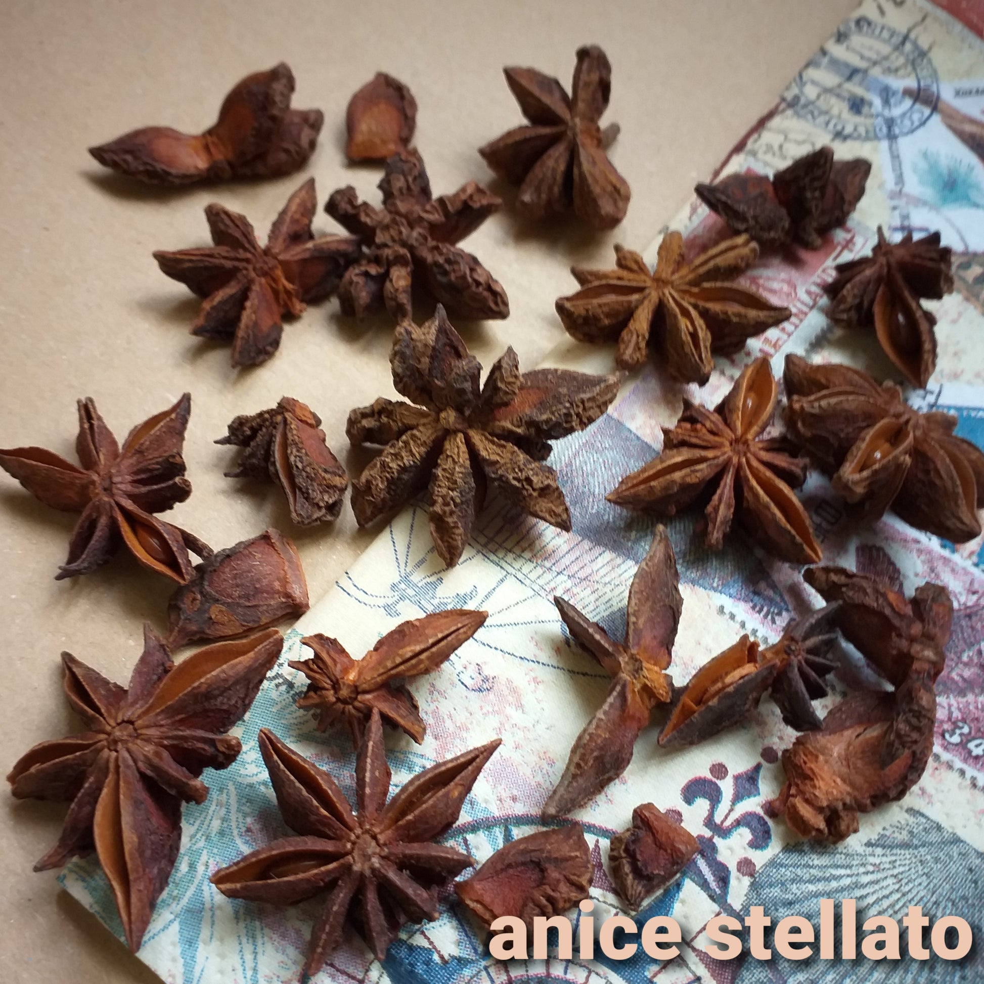 anice stellato naturale marrone spezie decorative biedermeier uso decorazioni natalizie ghirlande fiori bomboniere packaging vetrinistica chiudipacco regalo natale