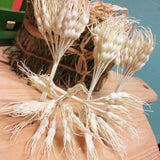 Decorazioni rustiche country fiori fai da te bomboniere spighe grano carta naturali uso per composizioni floreali pasquali confezionamento packaging regali chiudipacco enogastronomia